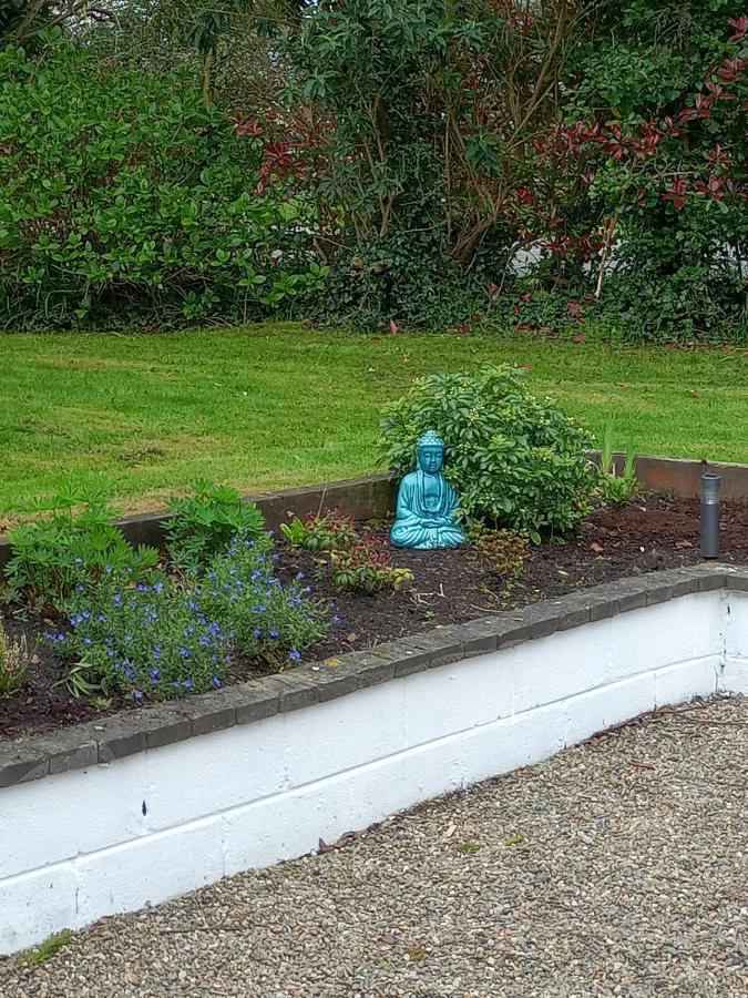 Applelea House Bed & Breakfast Rosslare Harbour Bagian luar foto