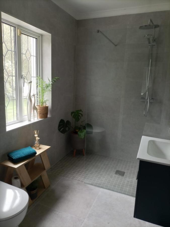 Applelea House Bed & Breakfast Rosslare Harbour Bagian luar foto