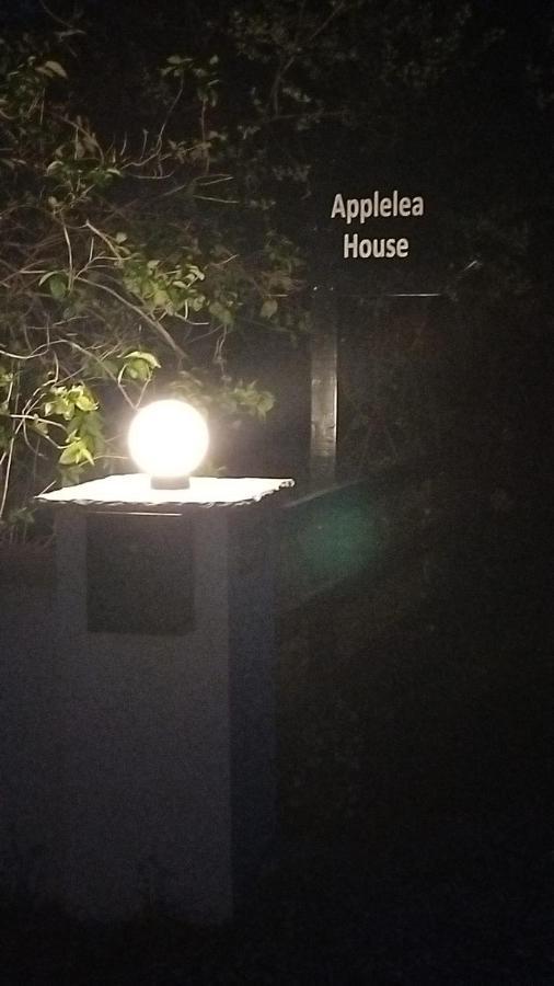 Applelea House Bed & Breakfast Rosslare Harbour Bagian luar foto